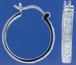 10F Hook Earrings