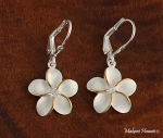 15mm Plumeria CZ Lever Back Earrings Two Tone