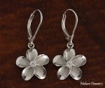 15MM PlumeriaRhodium Lever Back Earring